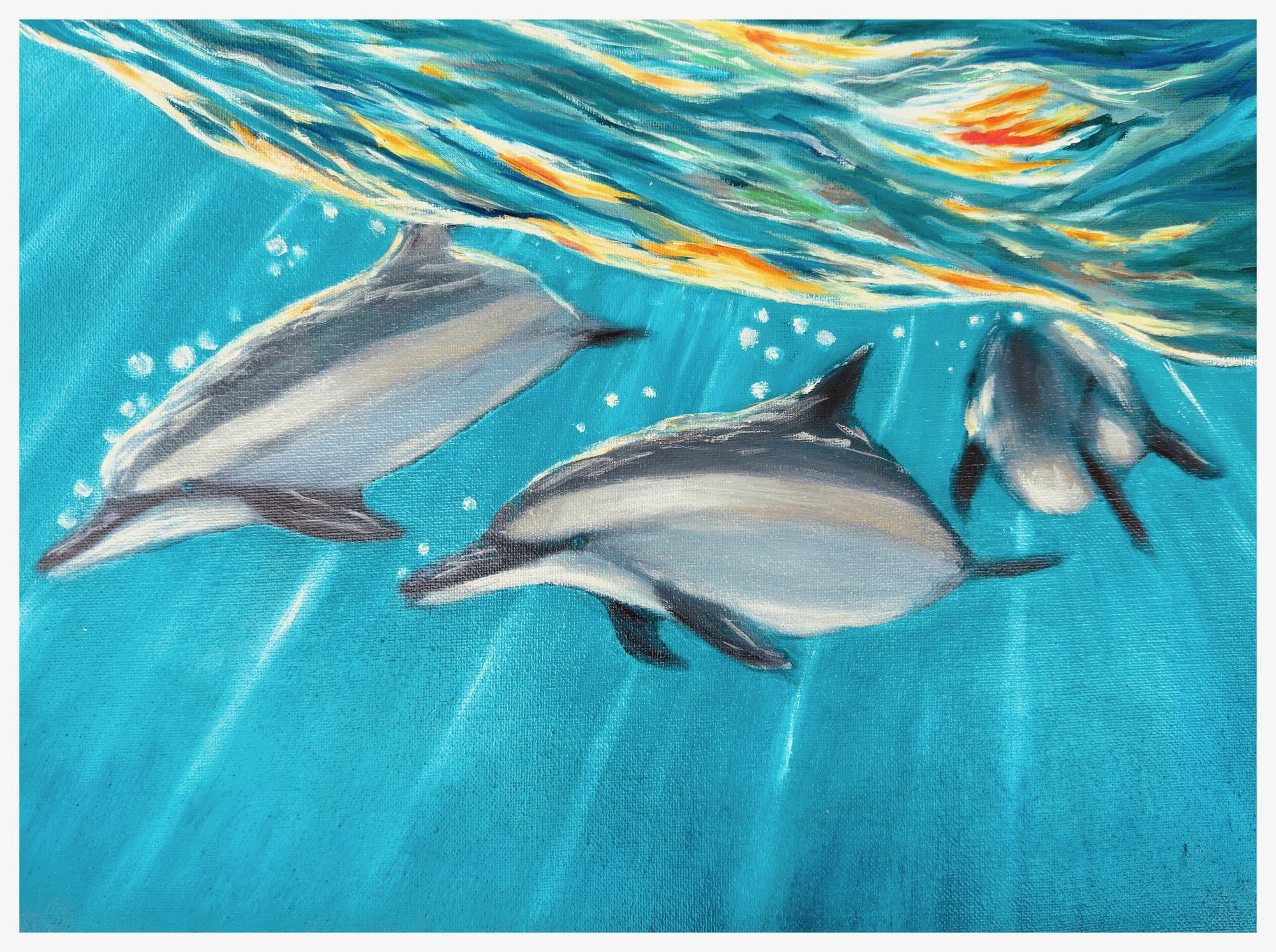 Dolphin Surprise