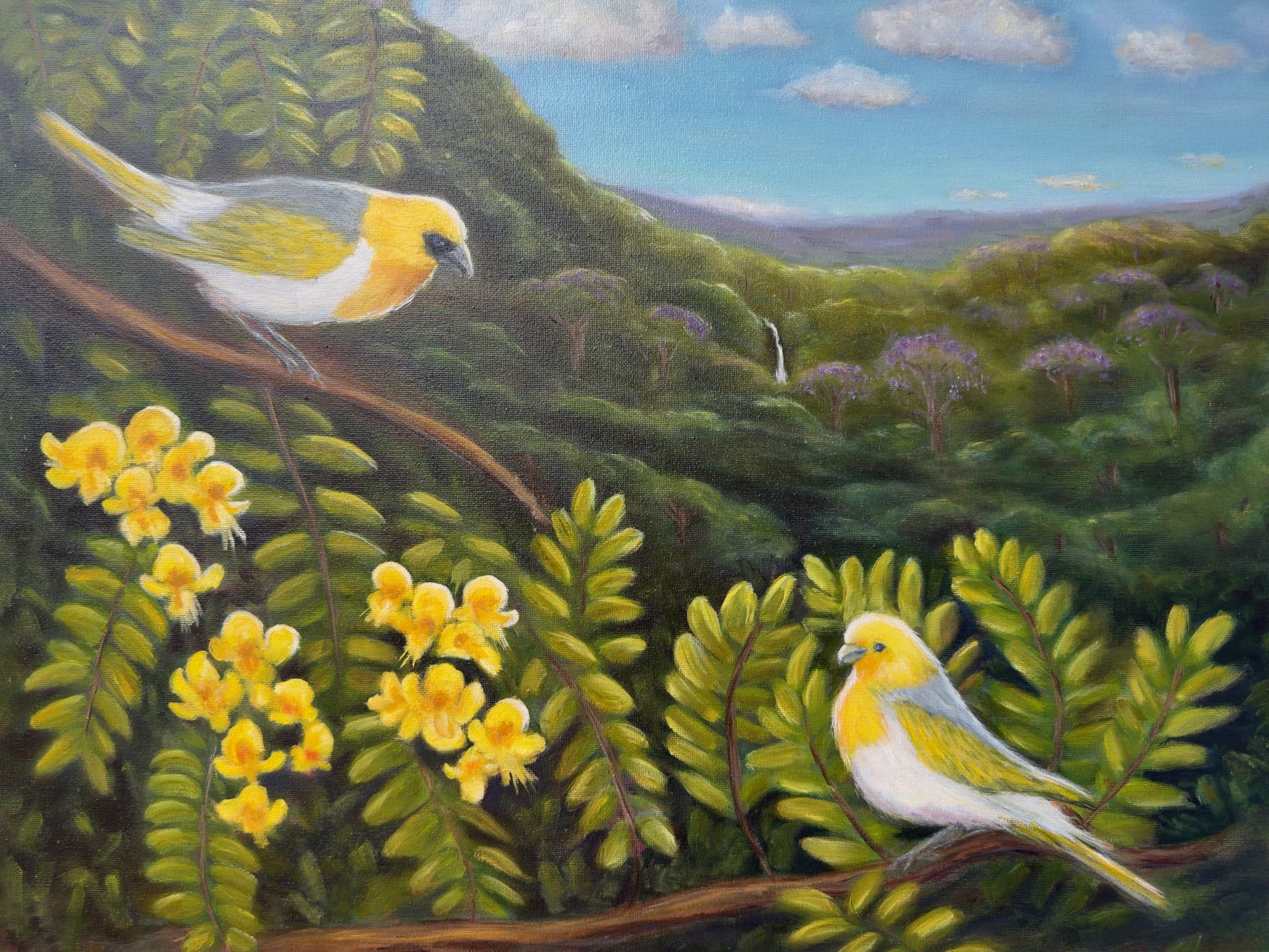 Palila Birds