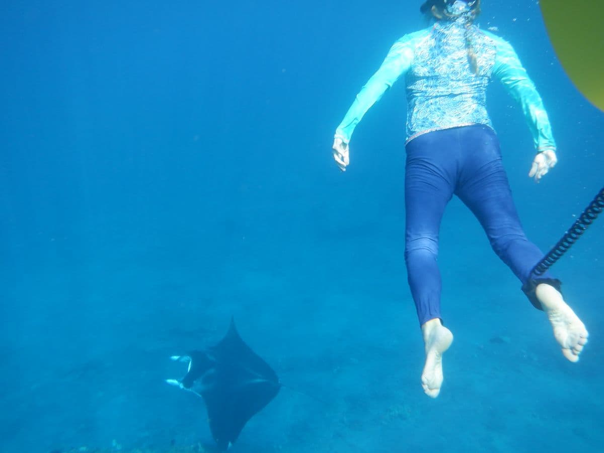 Deona snorkeling alongside a manta ray